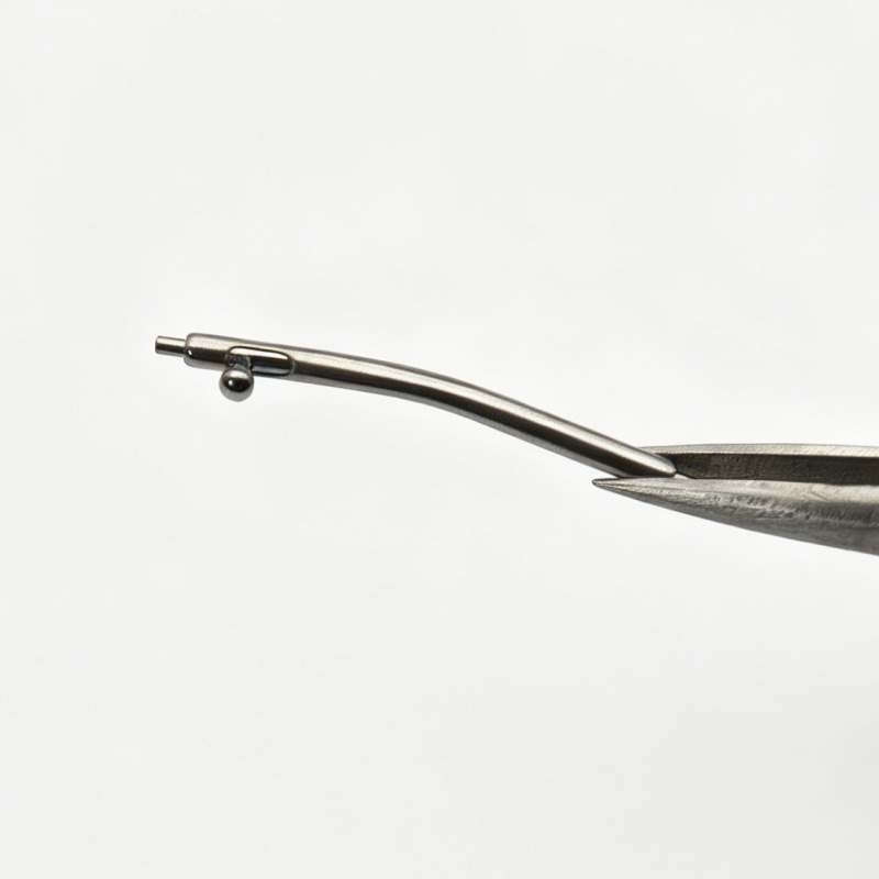Watch Repair Parts Curved Quic - Curved Spring Bar 评论和价格
