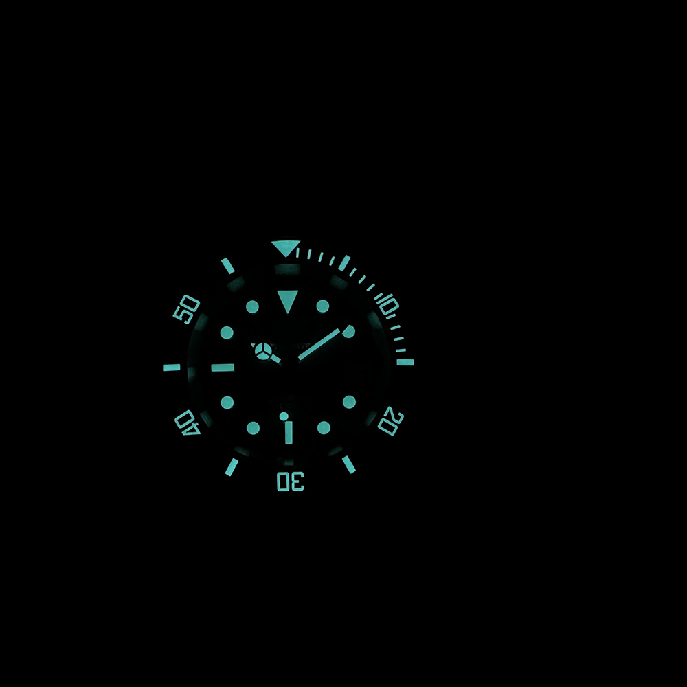 Steeldive New Watch SD1953C Wa - Seiko Watch Prospex 评论和价格